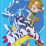Matt & Gabumon Standandar 60 Micas Digimon TCG
